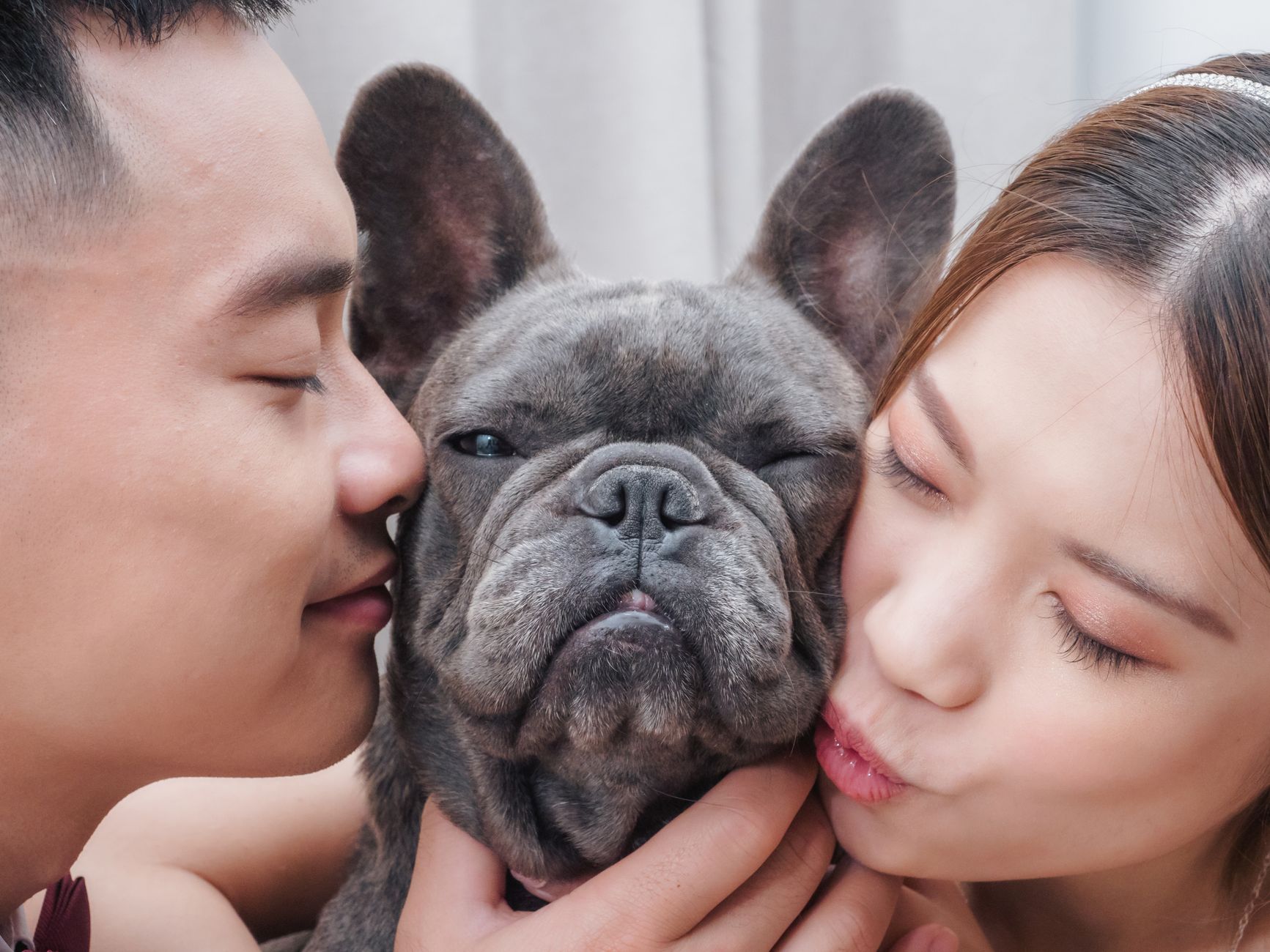 Close-up of a couple affectionately holding their French bulldog.